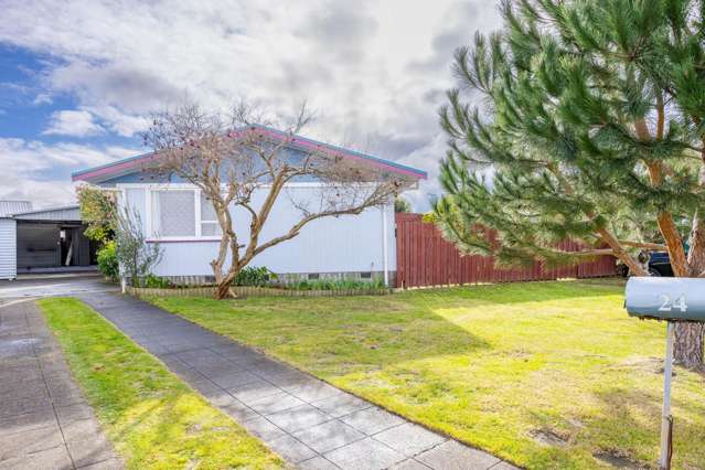 24 Essex Street Tamatea_1