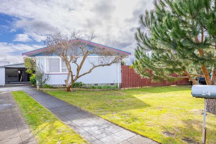 24 Essex Street Tamatea_1