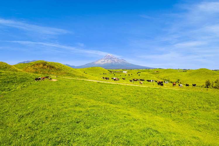 617 Parihaka Road Pungarehu_21