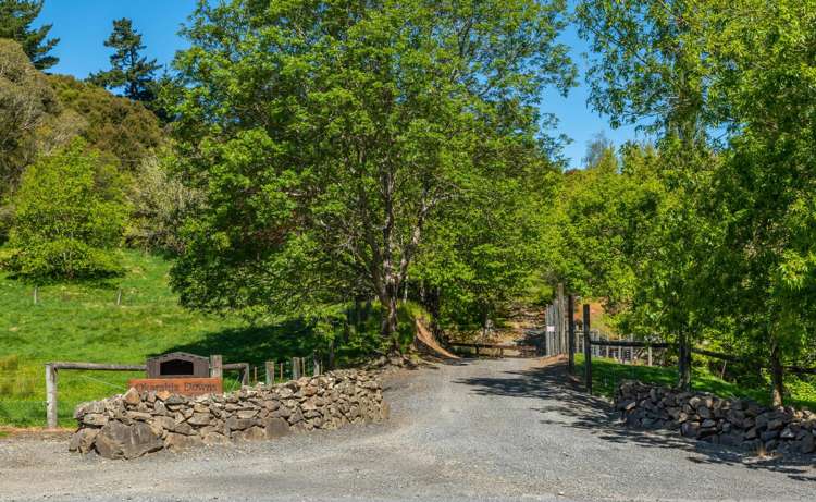 600 Hundalee Road Kaikoura_10