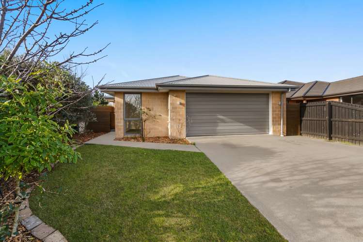 21 Andesite Drive Rolleston_24