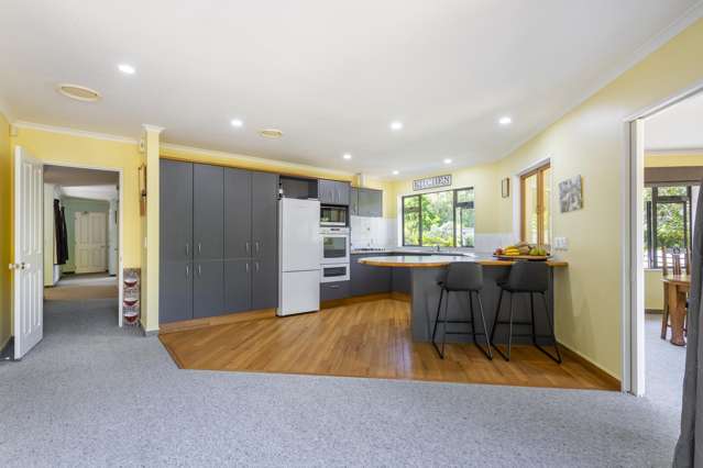 71 Emerald Hill Drive Birchville_2