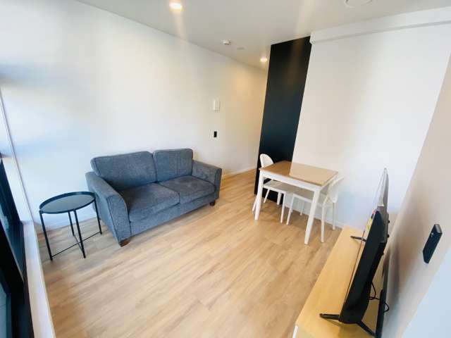 106 Vincent Street 10015_1