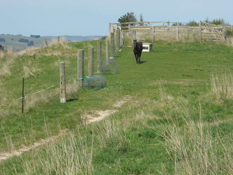 350 Kowhatu Road Waihaorunga_7