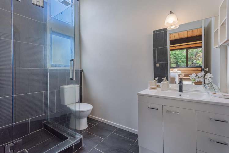 2A Graham Street Regent_7