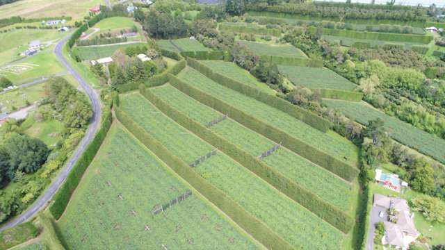 90 Hot Springs Road Katikati_2