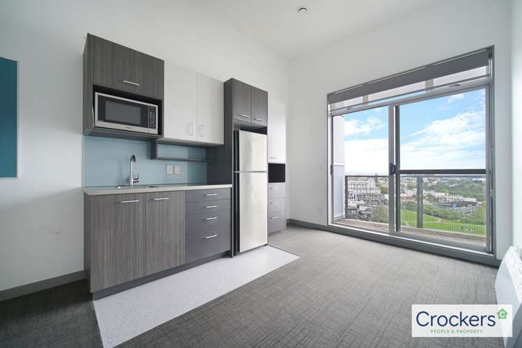 31/25 Dundonald Street 10021_1