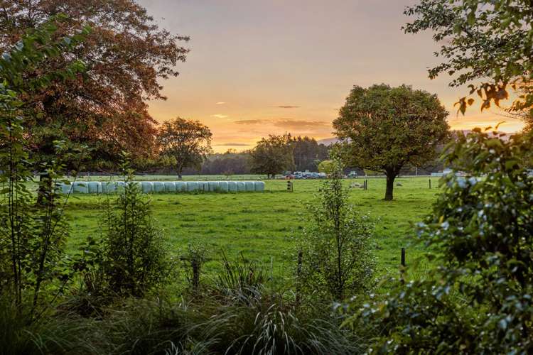 584 Orari Station Road Geraldine_5