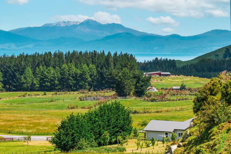 40 Grant Road Kinloch_2