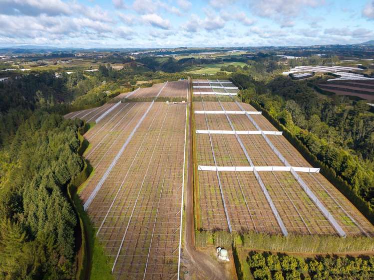 852 Rangiuru Road Rangiuru_14