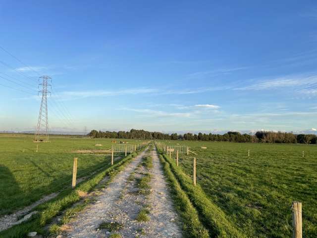 1228 Camerons Line Feilding_3