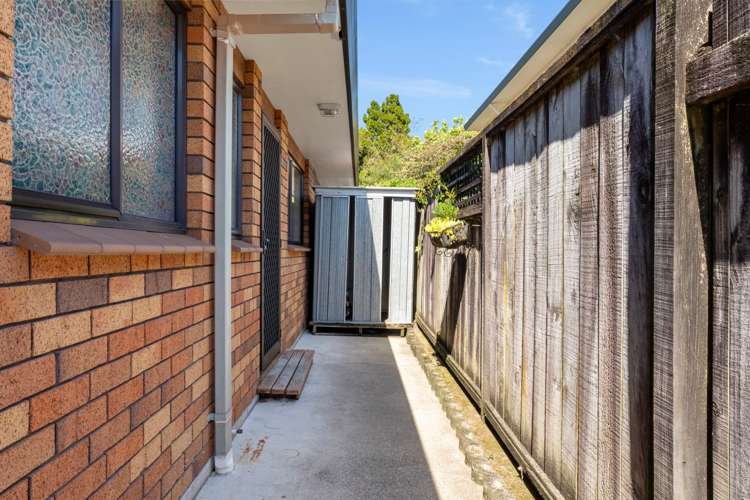 8b Norris Street Tauranga Central_20