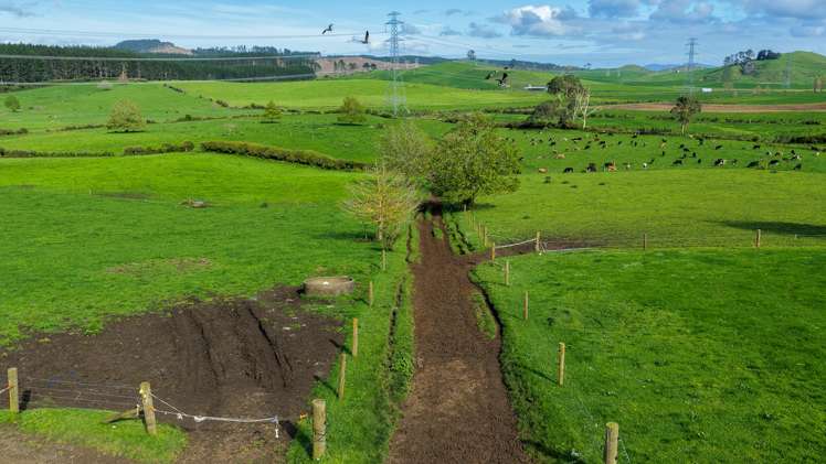 8 Mackay Road Maramarua Forest_7