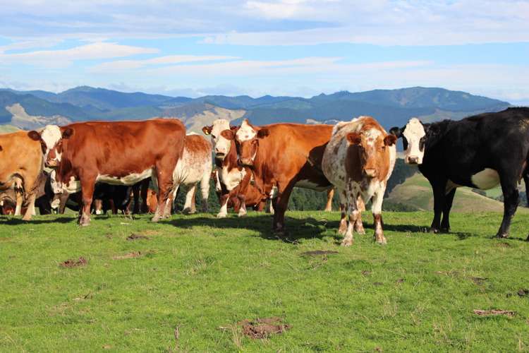 750 Otahome Road Otahome_11