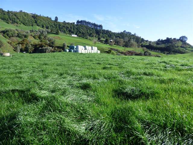 523 Honikiwi Road Otorohanga_1