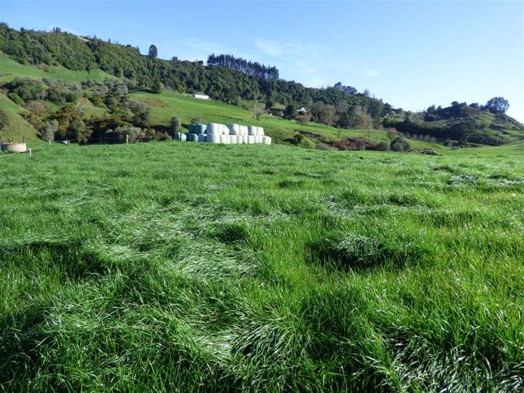 523 Honikiwi Road Otorohanga_1