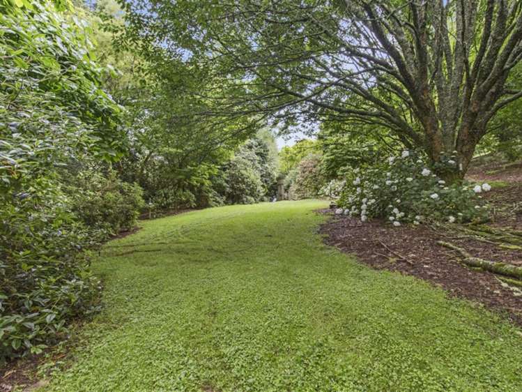 488 Tapuwae Road Benneydale_6