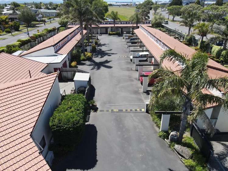 4 Westminster Avenue Napier South_5