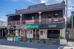 Nelson backpackers for sale