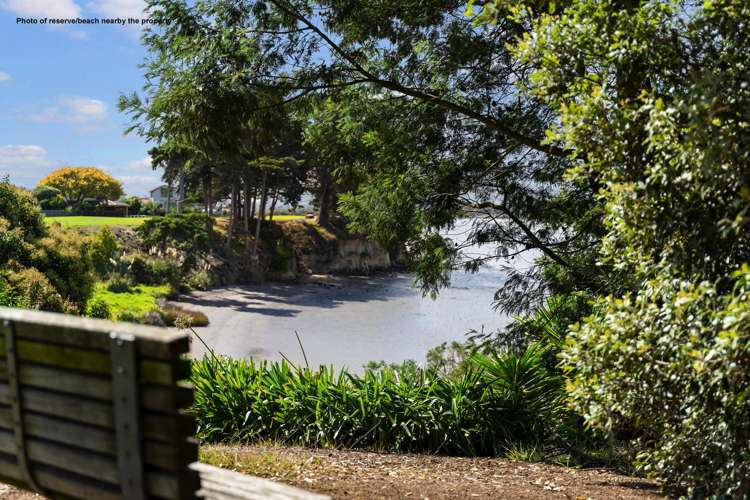 108 Carnoustie Drive Wattle Downs_21
