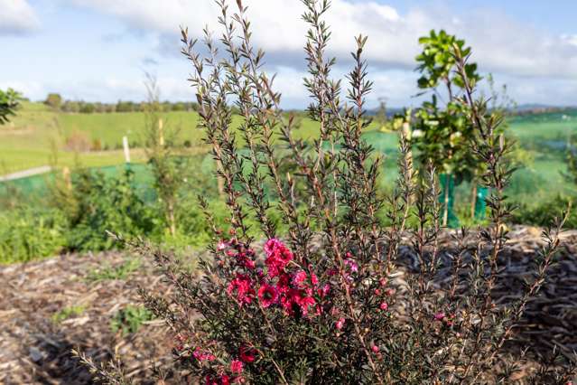 Lot Lot 3/127a Rangitane Road Kerikeri_2