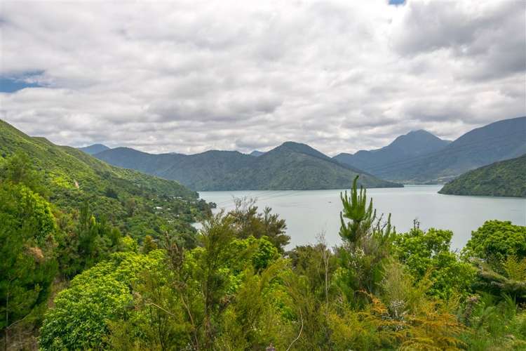 688a Queen Charlotte Drive Havelock_5