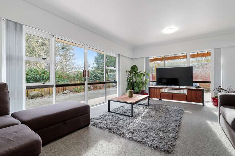 123 Stanley Avenue Te Aroha_5