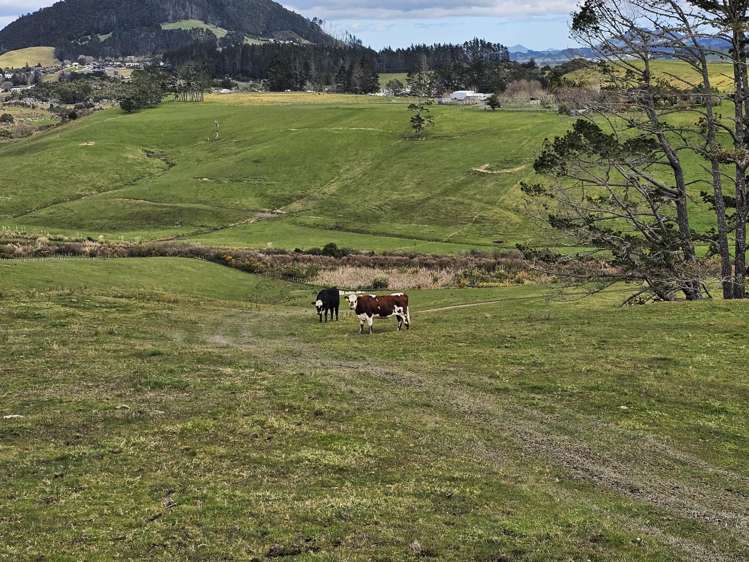 113C Marua Road Hikurangi_29