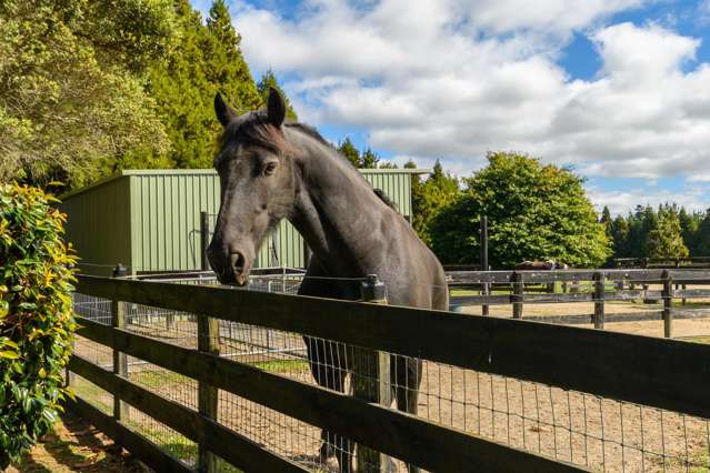 Private Equestrian Oasis