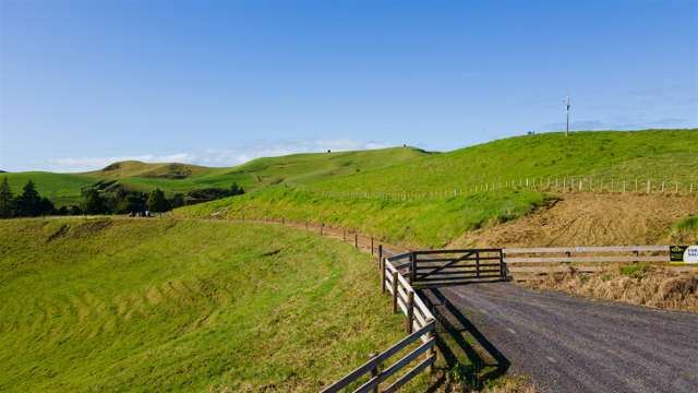 1658 Ruapekapeka Road Kawakawa_3