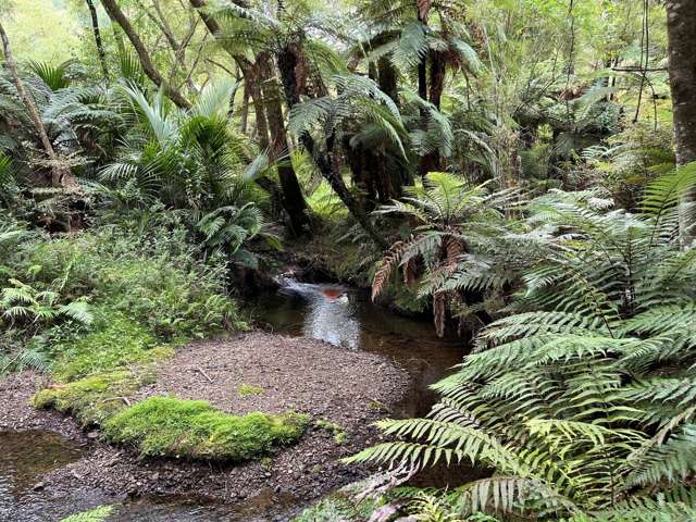 - Waioeka Pa Road Opotiki_2