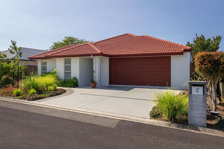 12 Turnberry Close, Aongatete_2