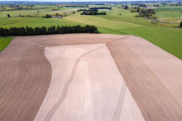 385 Earl Road Temuka_3