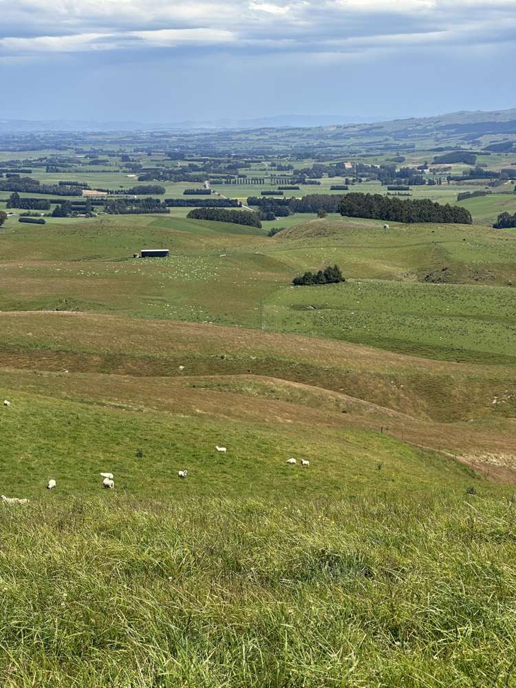 2230 Tapanui Raes Junction Highway Clutha_23