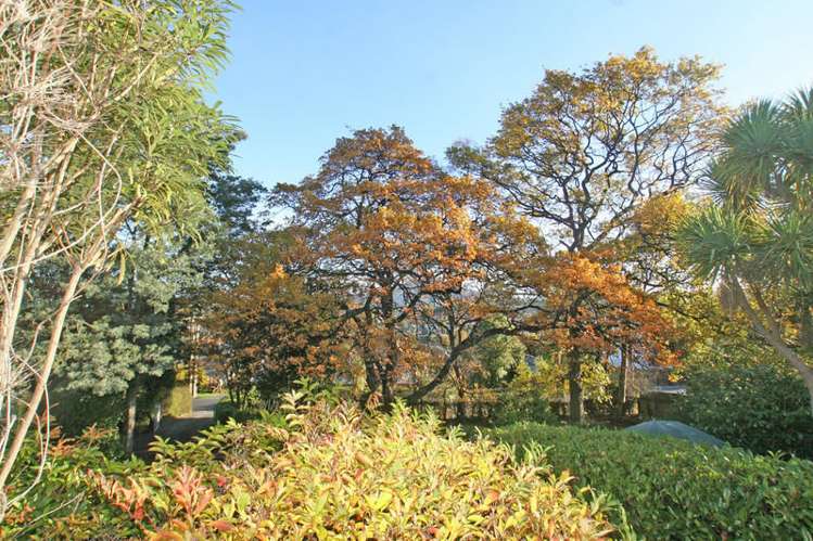 23 Teignmouth Street Abbotsford_16