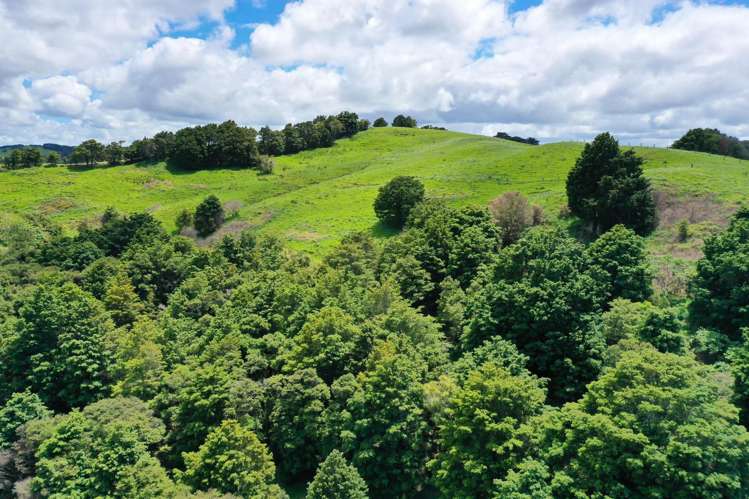 Lot/2 Wearmouth Road Paparoa_16