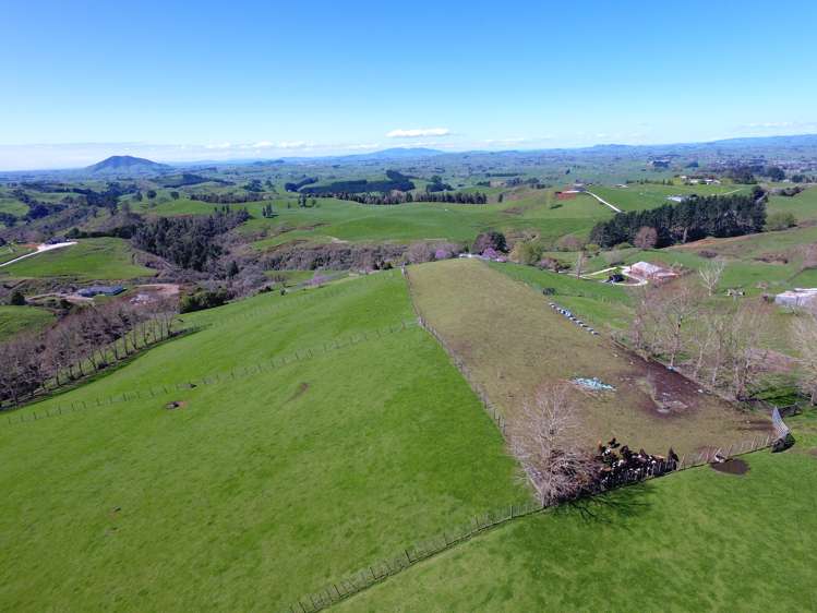481 Honikiwi Road RD3 Otorohanga_29