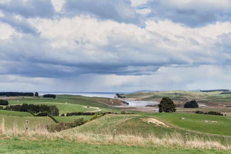 131 Ireland Road Palmerston_6