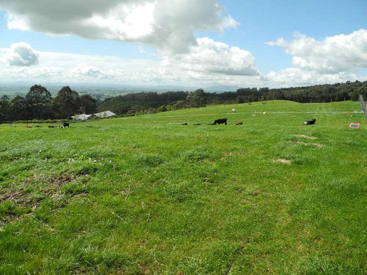 452 Corcoran Road Te Pahu_16