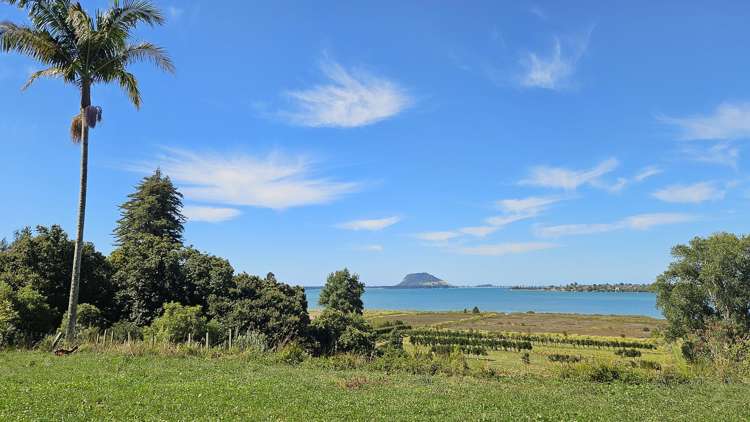2A Oikimoke Road Te Puna_23