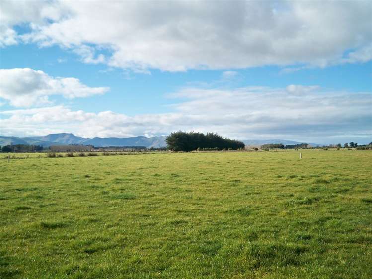 449 Greenpark Road Springston_13