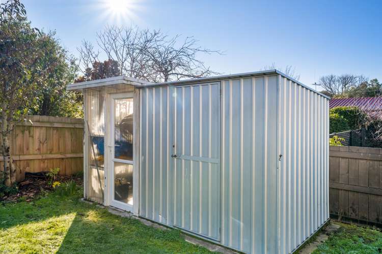 19 Wilson Street Renwick_17
