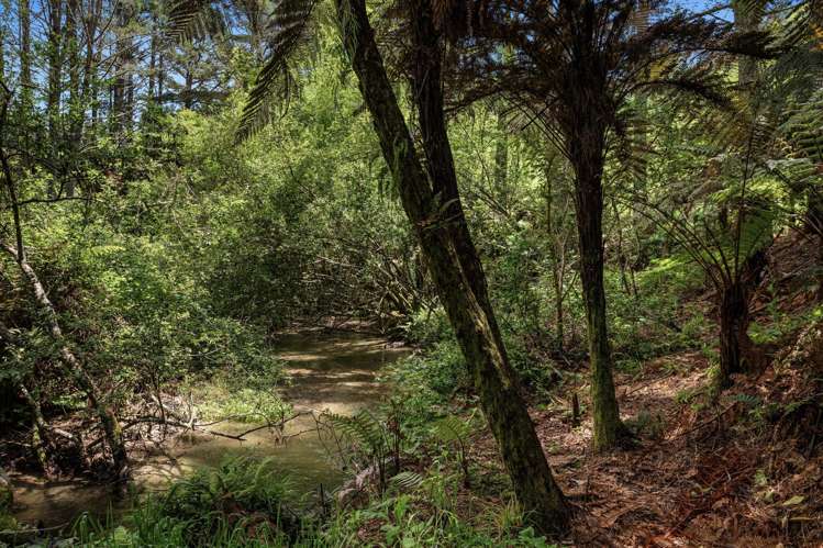 26 Settlement Road Pikowai_20