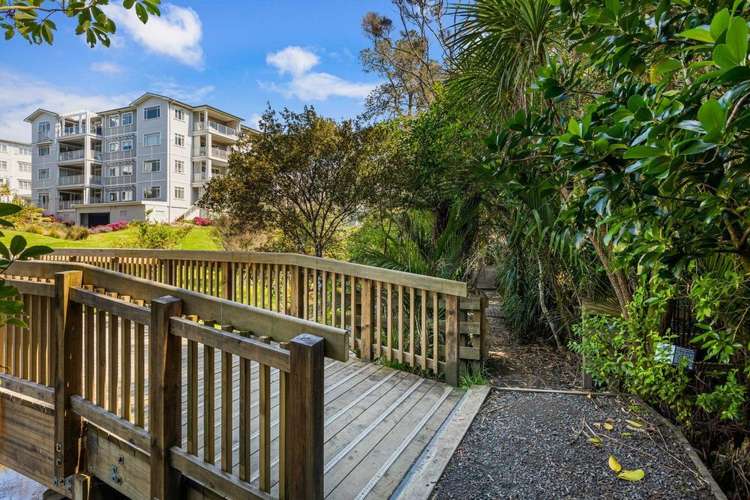 90 Eaves Bush Parade Orewa_29