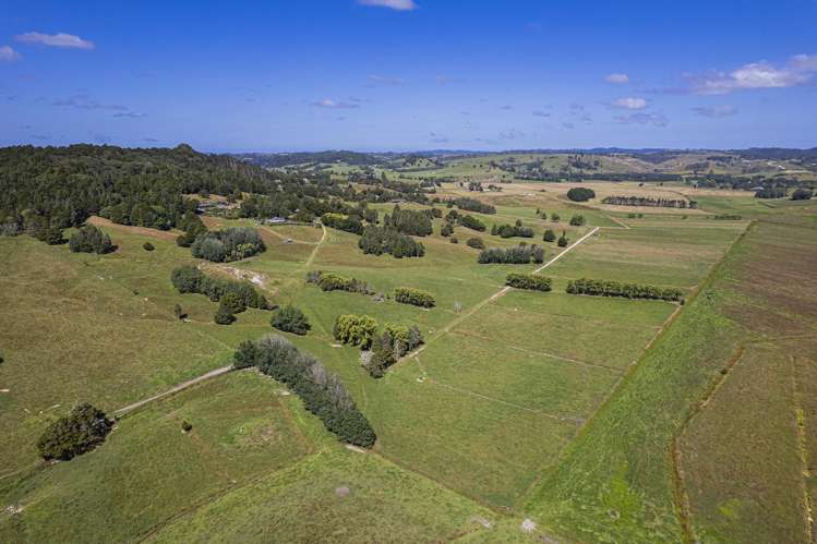 111 Corbett Road Whakapara_11