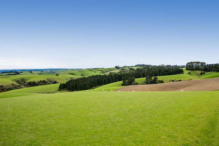 1152 Waitahuna West Road Lawrence_7