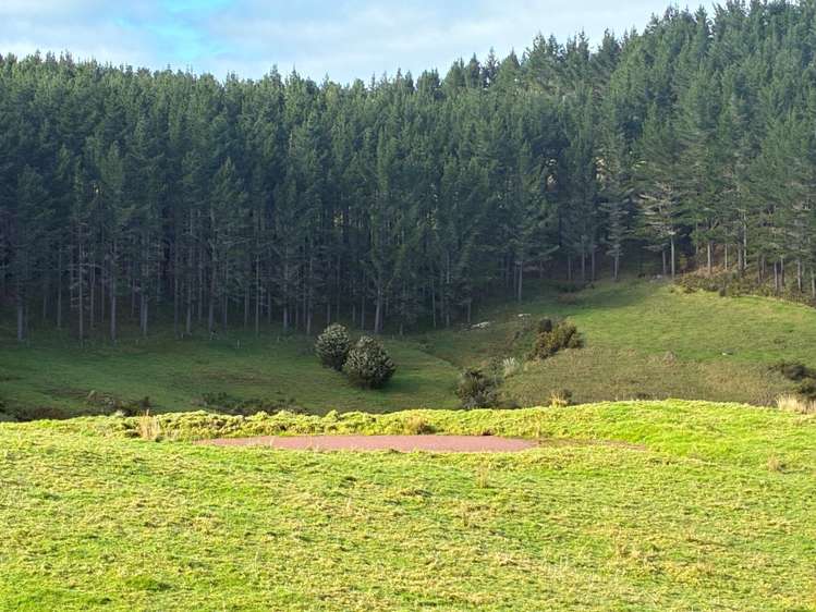 Milne Road Purua_6