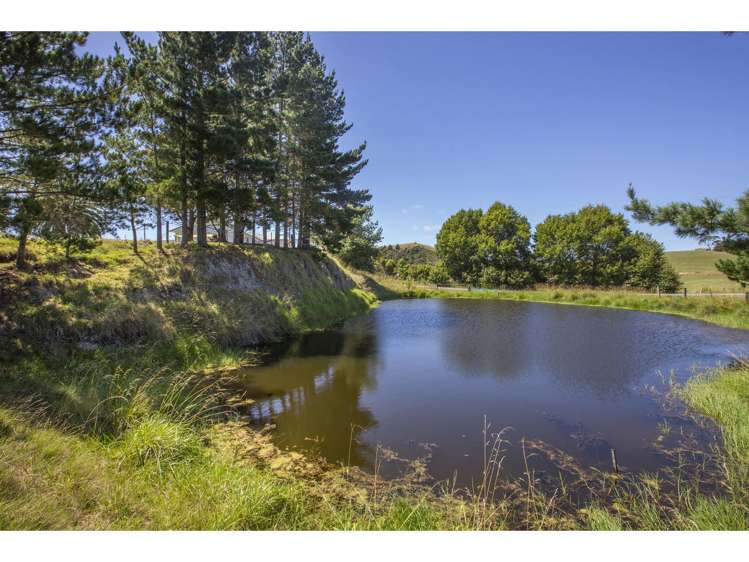 97 Nukuroa Road Oruawharo_1