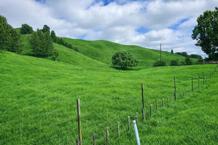 Hikumutu Road Taumarunui_2