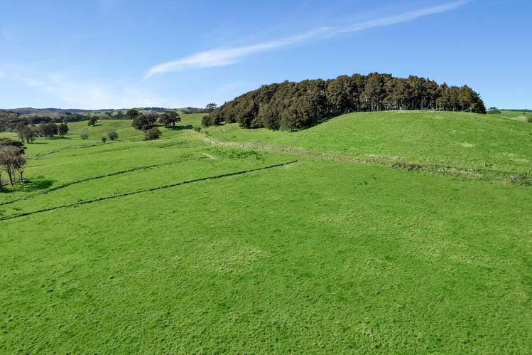 144 Poyner Road Matakohe_21